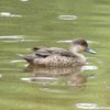 grey_teal_006