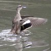 grey_teal_019
